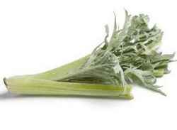 Légume ancien : Cardon