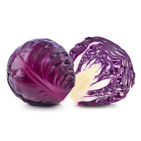 Image d'un Chou Rouge précoce