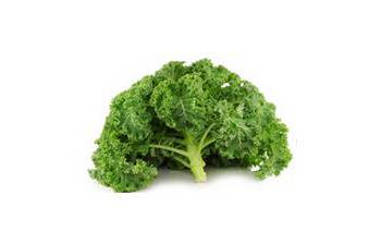 Chou kale frisé (Curly Kale)