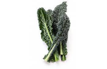 Chou kale Lacinato (Dinosaur Kale)