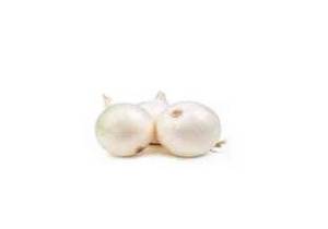 Des oignons blanc.