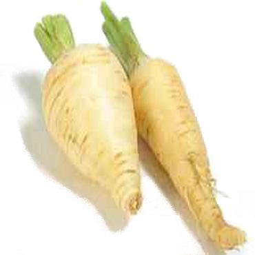 Long radis blanc (daikon)
