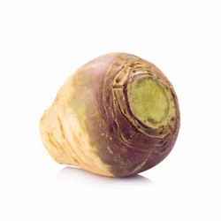 Légume ancien : Rutabaga